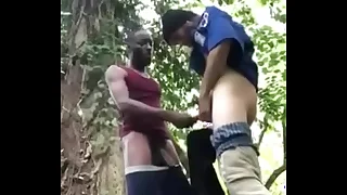 3094 gay fucking porn videos